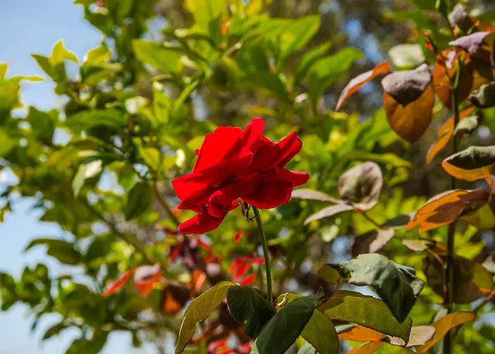 Exclusive Seafront By Pikhost Appartement